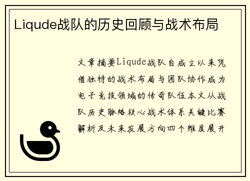 Liqude战队的历史回顾与战术布局