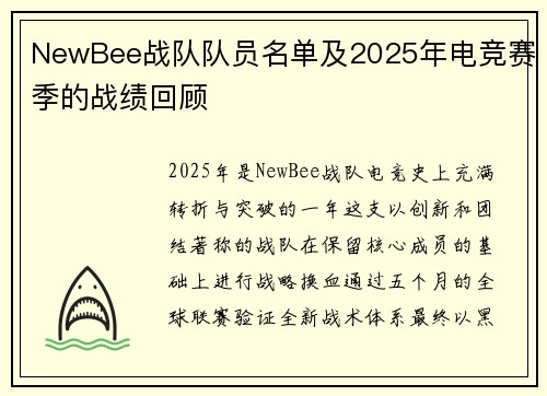 NewBee战队队员名单及2025年电竞赛季的战绩回顾