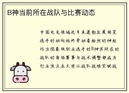 B神当前所在战队与比赛动态